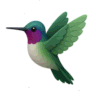Subtrl icon