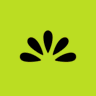 Leedlime icon
