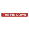 thepindown.io logo