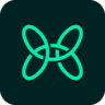 Handit.ai