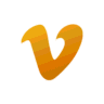 VidVeo3 logo