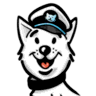 VideoSurveillance.Cloud logo