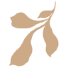 PATTERNISSE icon