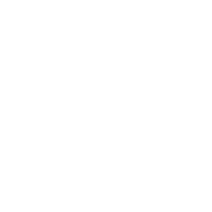 SlideStorm.ai logo