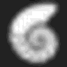 NautilusTrader logo