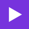Widget.video icon