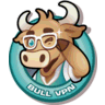 BullVPN