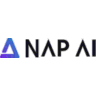 NAPSYS.AI icon