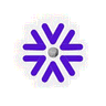 IcyPluto logo