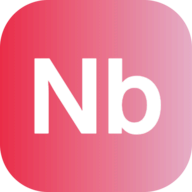 NanoBananaPro.com logo