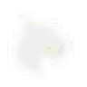 LingoLeopard icon