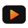 PhototoVideoAI.org logo