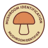 MushroomIdentification.online logo