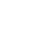 Handy STT logo