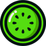 Kiwi Fitness logo