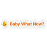 Baby What Now? logo