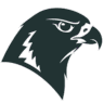 Falconyte logo