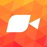 Vee for Video logo