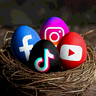 Social Nest AI icon