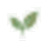 Little Sage logo