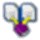 CHM Editor icon