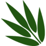 Willow Compliance logo