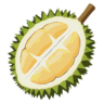 DurianPro icon