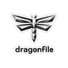 Dragonfile.io icon