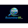 ExamineIP icon