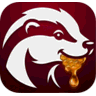 ProofMatcher icon