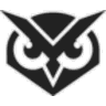 VisualSentinel icon