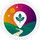 Explore Here icon