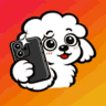 Photo Poodle icon