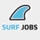 Lazy Surfer icon