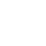 Revel.cam icon