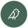StoryBirdie icon