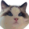 Hacker News AI Detector icon