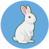 MarPy.io icon