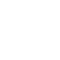 Voximal logo
