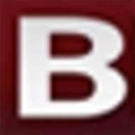 BidMagic Proposal Software logo