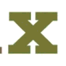 FieldX logo