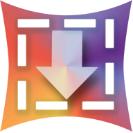 Downvids.net logo