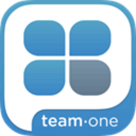 Team-One logo