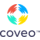 Microsoft Copilot icon