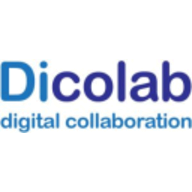Dicolab TeamPlayer logo