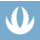 INEIGHT icon
