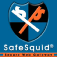 SafeSquid SWG logo
