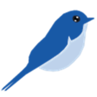 BlueTail.in logo