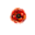 FloristWare icon