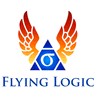 Flying Logic